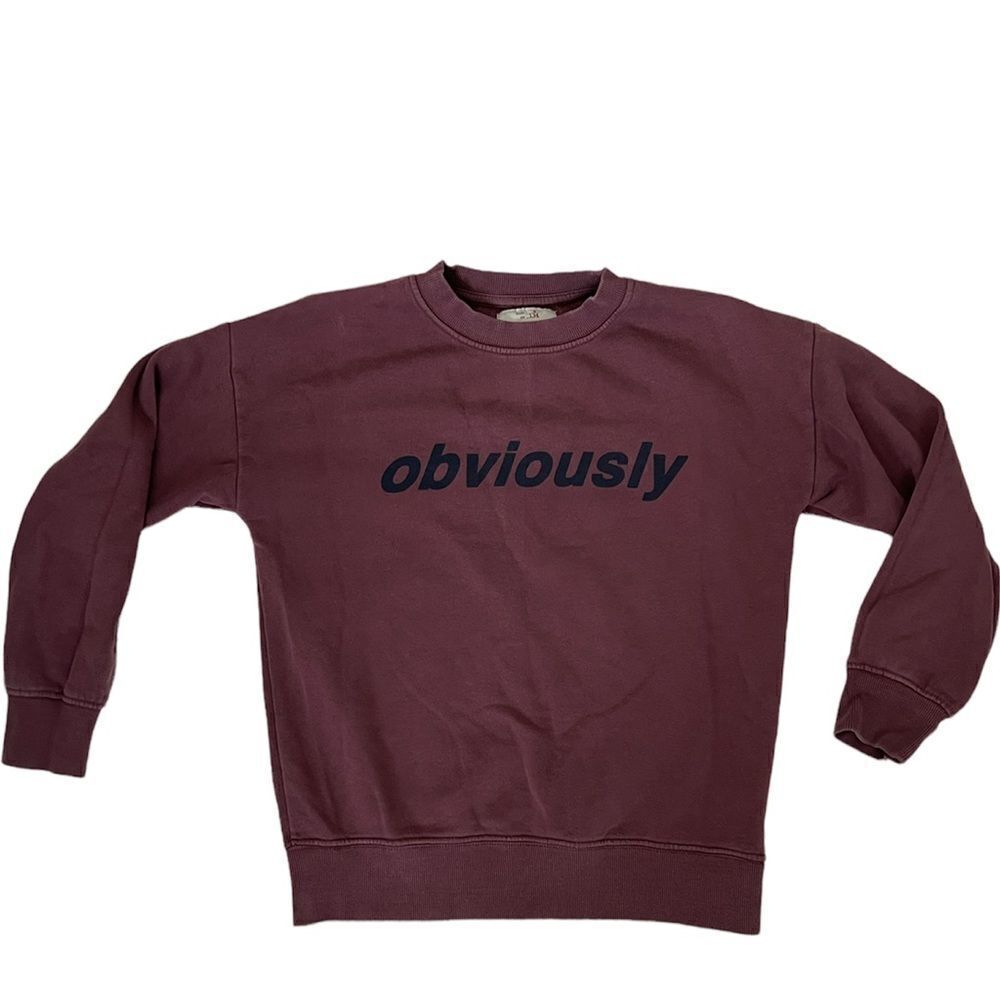 Zara kids crew neck purple red size 9 obviously G199